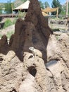 Meerkat standing on mounded rock