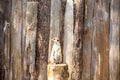 Meerkat standing on a tree stump looking right Royalty Free Stock Photo