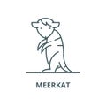 Meerkat vector line icon, linear concept, outline sign, symbol