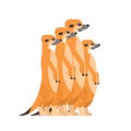 Meerkats family cartoon. Small mongoose. vector illustration Royalty Free Stock Photo