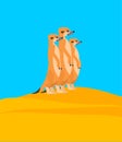 Meerkats family on hill. Small mongoose. vector illustration Royalty Free Stock Photo