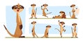 Meerkats. Wild animals standing african meerkats exact vector cartoon set isolated