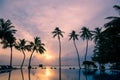 Meeru Island Maldives April 2019. - The beach at sunsrise on tropical island with palm trees. Royalty Free Stock Photo