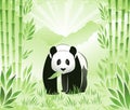 Meet the Bamboo Panda