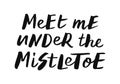 Meet me under the mistletoe Royalty Free Stock Photo