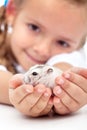 Meet my little pal - girl and her hamster Royalty Free Stock Photo