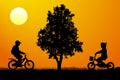 Meeting of children on bicycles near a tree at sunset, silhouette vector.