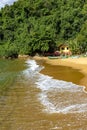 Meeting between the sea and the rainforest in Ilha Grande Royalty Free Stock Photo