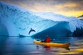 meeting whale in water winter kayaking in antarctica