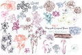 Mega collection of high detailed vector flowers for design Royalty Free Stock Photo