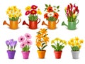 Mega collection of spring and summer colorful flowers in pots Royalty Free Stock Photo