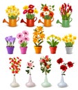 Mega collection of spring and summer colorful flowers in pots, watering cans