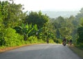 MEGA, ETHIOPIA - NOVEMBER 25, 2008: Equatorial jungle. Road closeup jungle around.