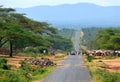 MEGA, ETHIOPIA - NOVEMBER 26, 2008: Life in the village. The central road close up.