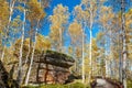 The megalith and autumn birch forests in Great Khingan
