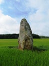 Prehistoric megalith in the middle of a field