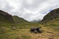 Megalith in a valley of Aragon in a cloudy day