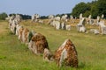 Megalithic alignments in Brittany
