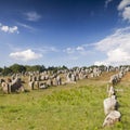 Megalithic Alignments at Carnac, Brittany, France Royalty Free Stock Photo