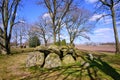 Megalithic dolmen graves in dutch landscape with fields and farms in background-In dutch it`s called Hunebed,D28. Borger