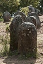 Megalithic monument of Almendres, Evora