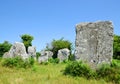 Megalithic monuments menhirs in Carnac Royalty Free Stock Photo