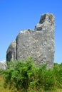 Megalithic monuments menhirs in Carnac Royalty Free Stock Photo