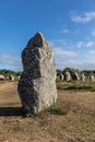 Megalithic site of Carnac Royalty Free Stock Photo