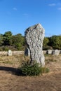 Megalithic site of Carnac Royalty Free Stock Photo