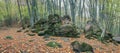 Autumn forest in the valley of the river Jennet, Caucasus, Russia Royalty Free Stock Photo