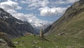 Megaliths in the Izas valley.