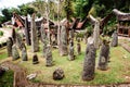 Megaliths or menhirs of Tana Toraja. Old torajan burial site in a village Bori, Rantepao, Sulawesi, Indonesia.