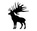 Megaloceros giant reindeer silhouette extinct mammalian animal