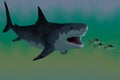 Megalodon Shark Attack Royalty Free Stock Photo