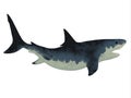 Megalodon Shark over White Royalty Free Stock Photo