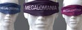Megalomania can blind our views and limit perspective - pictured as word Megalomania on eyes to symbolize that Megalomania can Royalty Free Stock Photo