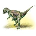 Megalosaurus, dinosaur of the Jurassic period