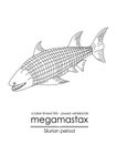 Megamastax