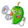 With megaphone green mango in basket of cartoons Royalty Free Stock Photo