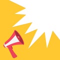 Megaphone, speaker, loudspeaker round icon.