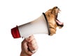 Megaphone speaking announcing head of lioness roaring screaming against isolated white background. Conceptual concept image