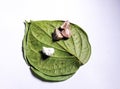 Three piece betel nut white lime on a green leaf with white background