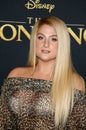 Meghan Trainor