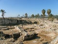 Megiddo - The Solomonic Chariot City I., Israel