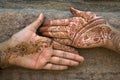 Mehandi Art on Palm