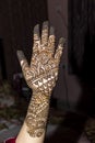 Mehandi Henna design on woman hands