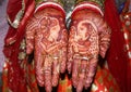 Mehandi palm, paint palm show the girl in the marriage Royalty Free Stock Photo