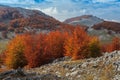 The Mehedinti Mountains