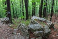 The Mehedinti Mountains, Romania