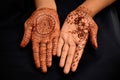 Mehendi or Henna tatoo painted on hands. This is a beautiful and ancient tradition in India